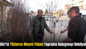 Siirt’te Yüzlerce Meyve Fidanı Toprakla Buluşmayı Bekliyor