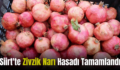 Siirt’te Zivzik Narı Hasadı Tamamlandı