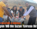 Siirt’teki Baraj Gölü ve Göletlere 2 Milyon 100 Bin Sazan Yavrusu Bırakıldı