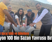 Siirt’teki Baraj Gölü ve Göletlere 2 Milyon 100 Bin Sazan Yavrusu Bırakıldı