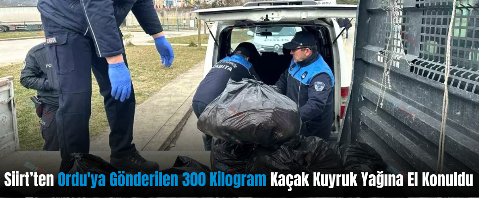 Siirt’ten Ordu’ya Gönderilen 300 Kilogram Kaçak Kuyruk Yağına El Konuldu