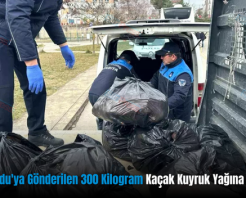 Siirt’ten Ordu’ya Gönderilen 300 Kilogram Kaçak Kuyruk Yağına El Konuldu