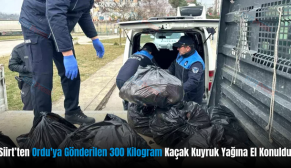 Siirt’ten Ordu’ya Gönderilen 300 Kilogram Kaçak Kuyruk Yağına El Konuldu