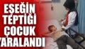 SİİRT’TE EŞEĞİN TEPTİĞİ ÇOCUK YARALANDI