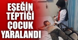 Siirt’te eşeğin tepmesi sonucu 11 yaşındaki çocuk yaralandı. Edinilen bilgiye