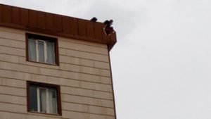 Siirt’te akşam saatlerinde sağanak halinde yağan ve kısa süren yağmur