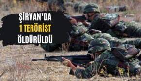 Şirvan’da 1 Terörist Öldürüldü