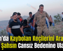 Şirvan’da Kaybolan Keçilerini Aramaya Çıkan Şahsın Cansız Bedenine Ulaşıldı