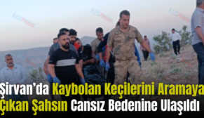 Şirvan’da Kaybolan Keçilerini Aramaya Çıkan Şahsın Cansız Bedenine Ulaşıldı