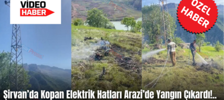Şirvan’da Kopan Elektrik Hatları Arazi’de Yangın Çıkardı!.. Uzun Süre Elektriksiz Kalan Pirinçli Köyü Halkı Yardıma Gelemeyen Yetkililere Tepki Gösterdi