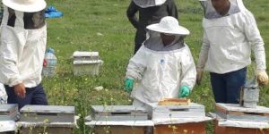 ŞİRVAN’DA “ARI YETİŞTİRİCİLİĞİ” KURSU GERÇEKLEŞTİRİLDİ