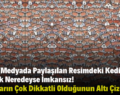 Sosyal Medyada Paylaşılan Resimdeki Kediyi Bulmak Neredeyse İmkansız! Bulanların Çok Dikkatli Olduğunun Altı Çizildi