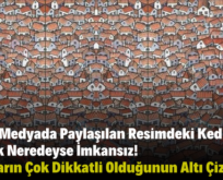 Sosyal Medyada Paylaşılan Resimdeki Kediyi Bulmak Neredeyse İmkansız! Bulanların Çok Dikkatli Olduğunun Altı Çizildi