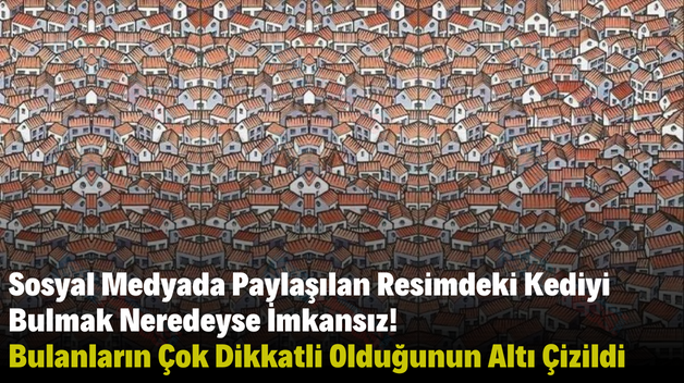 Sosyal Medyada Paylaşılan Resimdeki Kediyi Bulmak Neredeyse İmkansız! Bulanların Çok Dikkatli Olduğunun Altı Çizildi