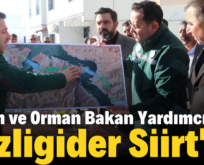 Tarım ve Orman Bakan Yardımcısı Gizligider Siirt’te