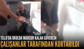 TİLLO’DA OKULDA MAHSUR KALAN GÜVERCİN ÇALIŞANLAR TARAFINDAN KURTARILDI