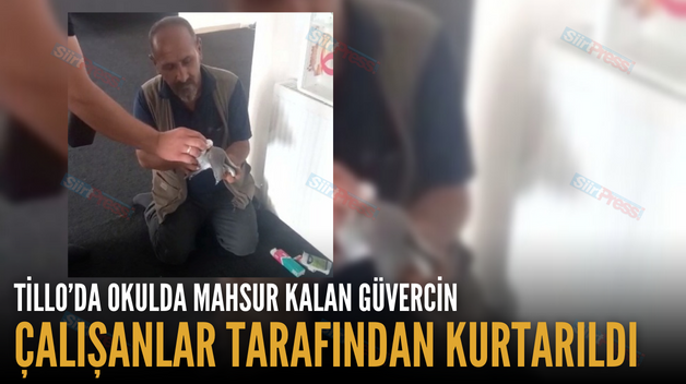 TİLLO’DA OKULDA MAHSUR KALAN GÜVERCİN ÇALIŞANLAR TARAFINDAN KURTARILDI