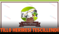 TİLLO HERİRESİ TESCİLLENDİ