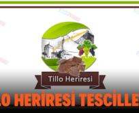 TİLLO HERİRESİ TESCİLLENDİ