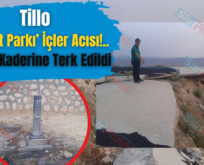 Tillo ‘Tabiat Parkı’ İçler Acısı!.. Adeta Kaderine Terk Edildi