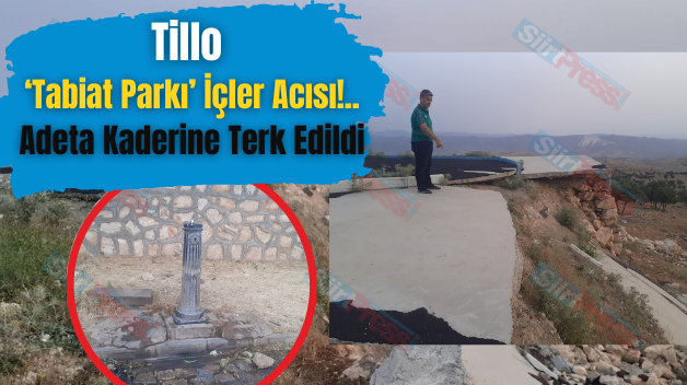 Tillo ‘Tabiat Parkı’ İçler Acısı!.. Adeta Kaderine Terk Edildi