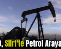 TPAO, Siirt’te Petrol Arayacak