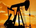 TPAO SİİRT’TE PETROL ARAYACAK