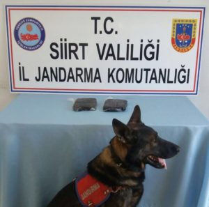 Siirt’in Kurtalan ilçesinde Jandarma ekiplerince düzenlenen yol kontrolleri esnasında Türkiye’ye