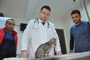 2 gün önce vicdan ve yürek sızlatan olayda, kendini bilmez
