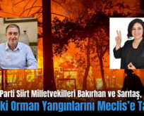 Yeşil Sol Parti Siirt Milletvekilleri Bakırhan ve Sarıtaş, Siirt’teki Orman Yangınlarını Meclis’e Taşıdı