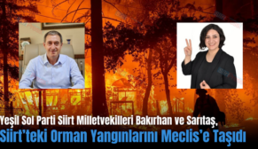 Yeşil Sol Parti Siirt Milletvekilleri Bakırhan ve Sarıtaş, Siirt’teki Orman Yangınlarını Meclis’e Taşıdı