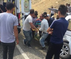 Siirt’in Şirvan İlçe karayolunda direksiyon hâkimiyeti kaybolan araç kaza yaptı.